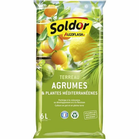 Zemlja za tegle Algoflash TAGRUM6 Citrusi Mediteran 6 L