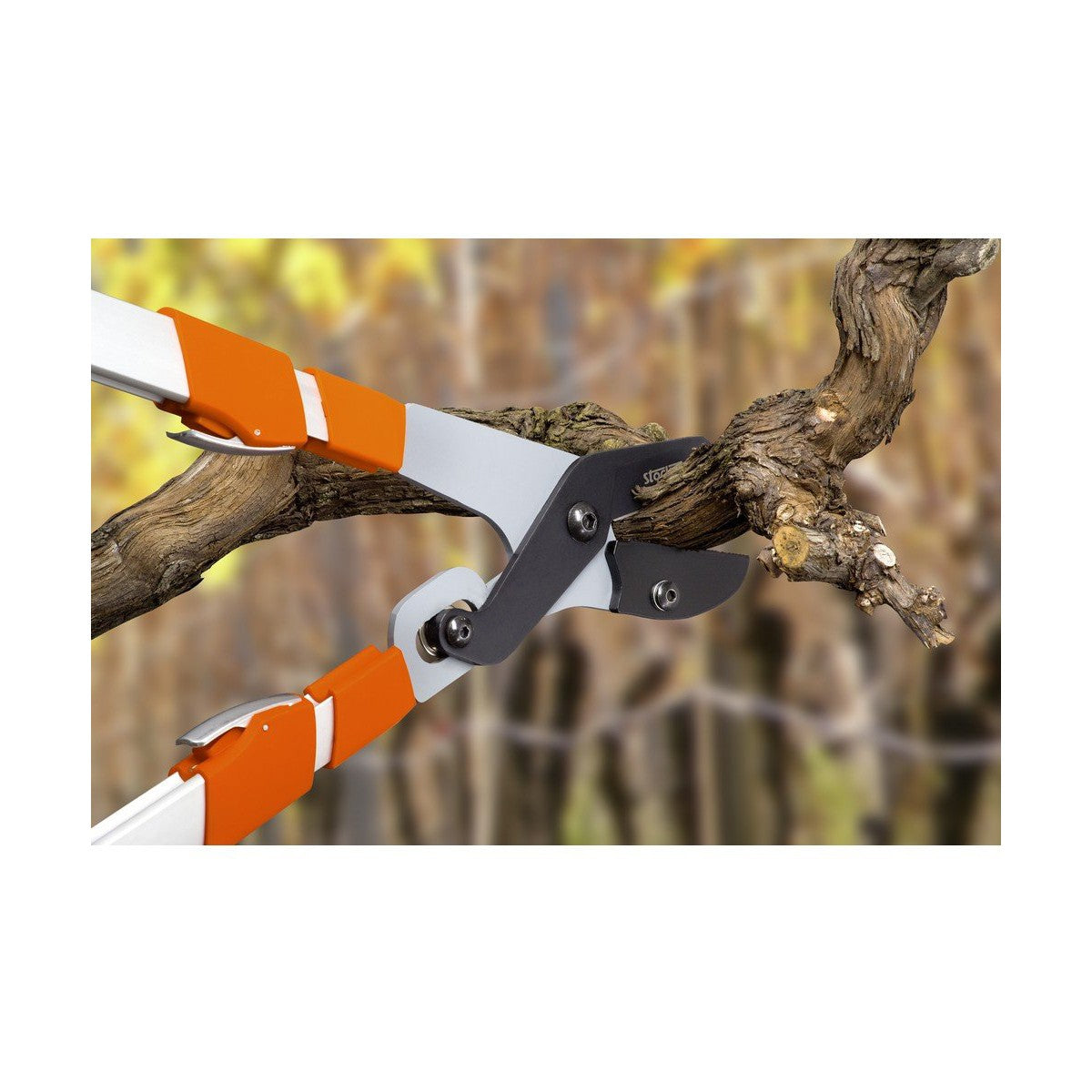 Branch Cutters Stocker 75 - 100 cm Škare za nakovanj