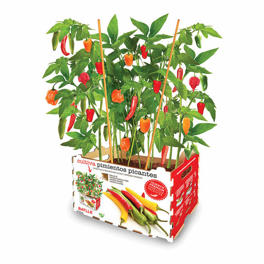 Set za uzgoj Batlle Paprika Začinjeno 30 x 19,5 x 16,2 cm